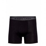 Icebreaker M Anatomica Boxers Svart