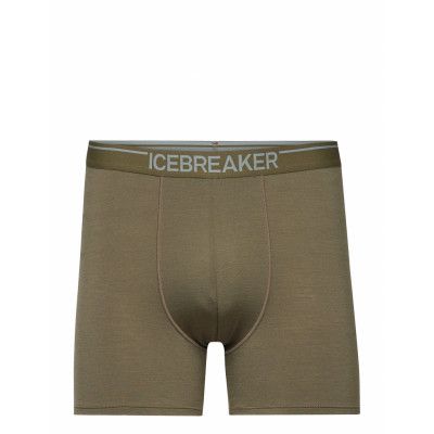 Icebreaker M Anatomica Boxers Grön