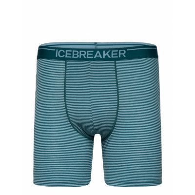 M Anatomica Long Boxers *Villkorat Erbjudande Boxerkalsonger Blå Icebreaker