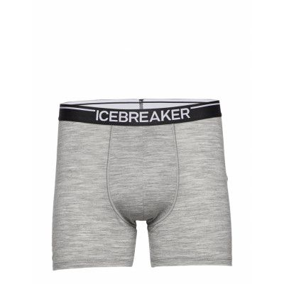 M Anatomica Boxers *Villkorat Erbjudande Boxerkalsonger Grå Icebreaker