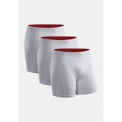 Danish Endurance Men's Bamboo Trunks 3-Pack Vit