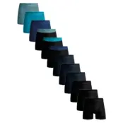 Muchachomalo 12-pack Cotton Boxers
