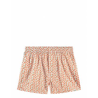 Pockies Oranges Orange