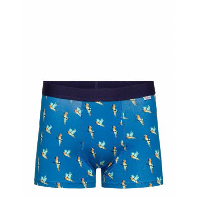 Parrot Trunk Boxerkalsonger Blå Happy Socks