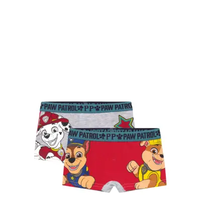 Paw Patrol Boxer - Multi/patterned - 110/116