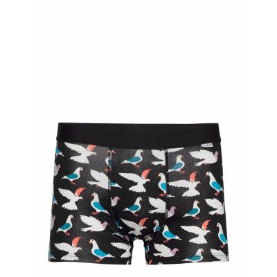 Pigeon Trunk Boxerkalsonger Svart Happy Socks