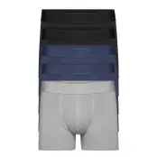 Gunnar Cotton 5-Pack *Villkorat Erbjudande Boxerkalsonger Multi/mönstrad Resteröds