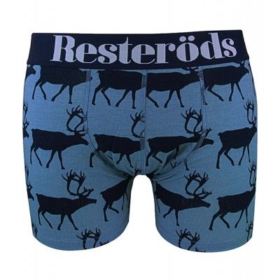 Resteröds -Gunnar - Reindeer