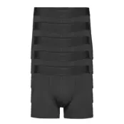 Resteröds Rtgunnar Cotton 5-Pack - Black - XL
