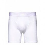 Shorts Sport Boxers White Adidas Underwear