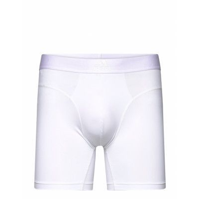 Adidas Underwear Shorts Vit
