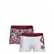 Spider-man Boxer Multi/patterned