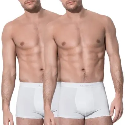 Stedman 2-pack Dexter Boxer For Men