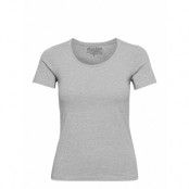 T-Shirt Cotton Stretch T-shirts & Tops Short-sleeved Grå Bread & Boxers