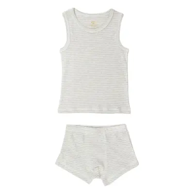Tank-Top And Boxershorts Striped *Villkorat Erbjudande Underkläderset Grå Copenhagen Colors