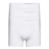 Bragehi Boxerkalsonger Vit Tiger Of Sweden