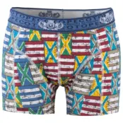 Topeco Mens Regular Boxer Mixed * Fri Frakt *