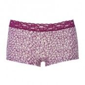 Triumph Brief Molly Lace Short