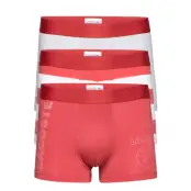 Trunk Men Boxerkalsonger Multi/mönstrad Lacoste