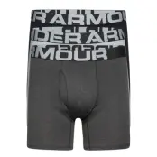 Ua Charged Cotton 6In 3 Pack *Villkorat Erbjudande Boxerkalsonger Grå Under Armour