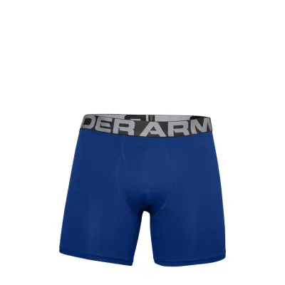 Under Armour Ua Charged Cotton 6In 3 Pack Multi/patterned