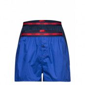 Woven Boxer Twinpack Underwear Boxer Shorts Blå HUGO