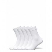 Bamboo Solid Crew Sock Lingerie Socks Regular Socks White Frank Dandy