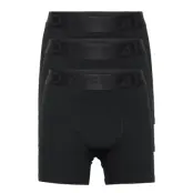 Boy'S 3-Pack Legend Organic Cotton Boxer Trosa Svart Frank Dandy