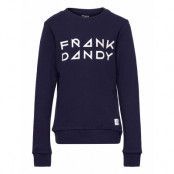 Kid'S Solid Crew Sweat-shirt Tröja Blå Frank Dandy