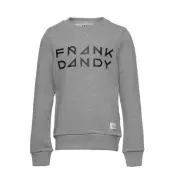 Kid'S Solid Crew Sweat-shirt Tröja Grå Frank Dandy