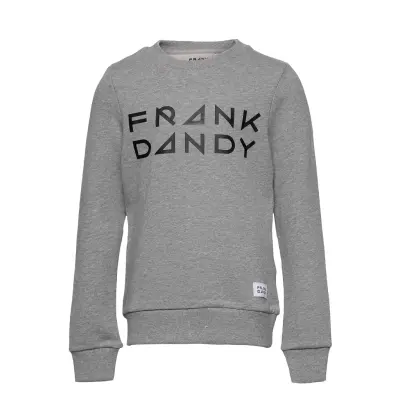 Kid'S Solid Crew Sweat-shirt Tröja Grå Frank Dandy