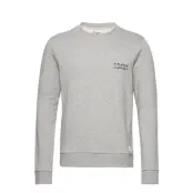Unisex Solid Crew Sweat-shirt Tröja Grå Frank Dandy