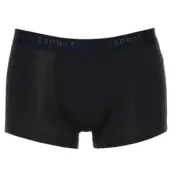 Esprit 3-pack Atlanta Hipster Shorts