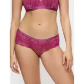 Triumph Crazy Stupid Love Hipster - Pink - 42