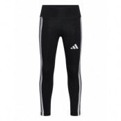 Adidas Sportswear Jg 3S Leg 230 Svart