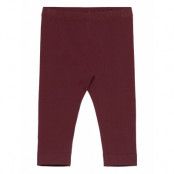 En Fant Leggings Burgundy