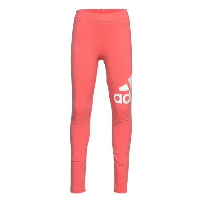 Essentials Tights Leggings Rosa Adidas Performance