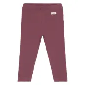 Fixoni Leggings Rib - Burgundy - 56