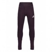 G A.R. Xfg T Leggings Lila Adidas Performance