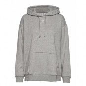 Hoodie Hoodie Grå Adidas Originals