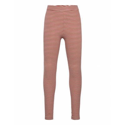 L - Leggins Leggings Orange Hust & Claire