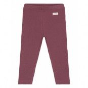 Fixoni Leggings Rib Burgundy