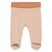 Fixoni Leggings W.feet - Y/D Stripe Orange