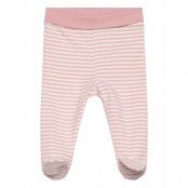 Fixoni Leggings W.feet - Y/D Stripe Rosa