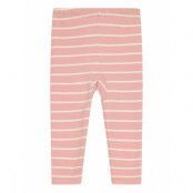 Fixoni Leggings - Y/D Stripe Rosa