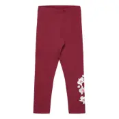 LEGO kidswear Lwpara 600 - Leggings - Red - 116