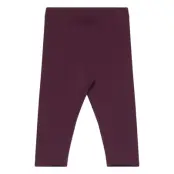 Lindex Leggings Brushed Inside Basic - Purple - 56