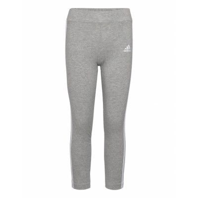 Adidas Sportswear Lk 3S Tight Grå