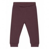 Fixoni Pants Rib Burgundy