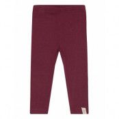 Petit Piao Legging Modal Burgundy